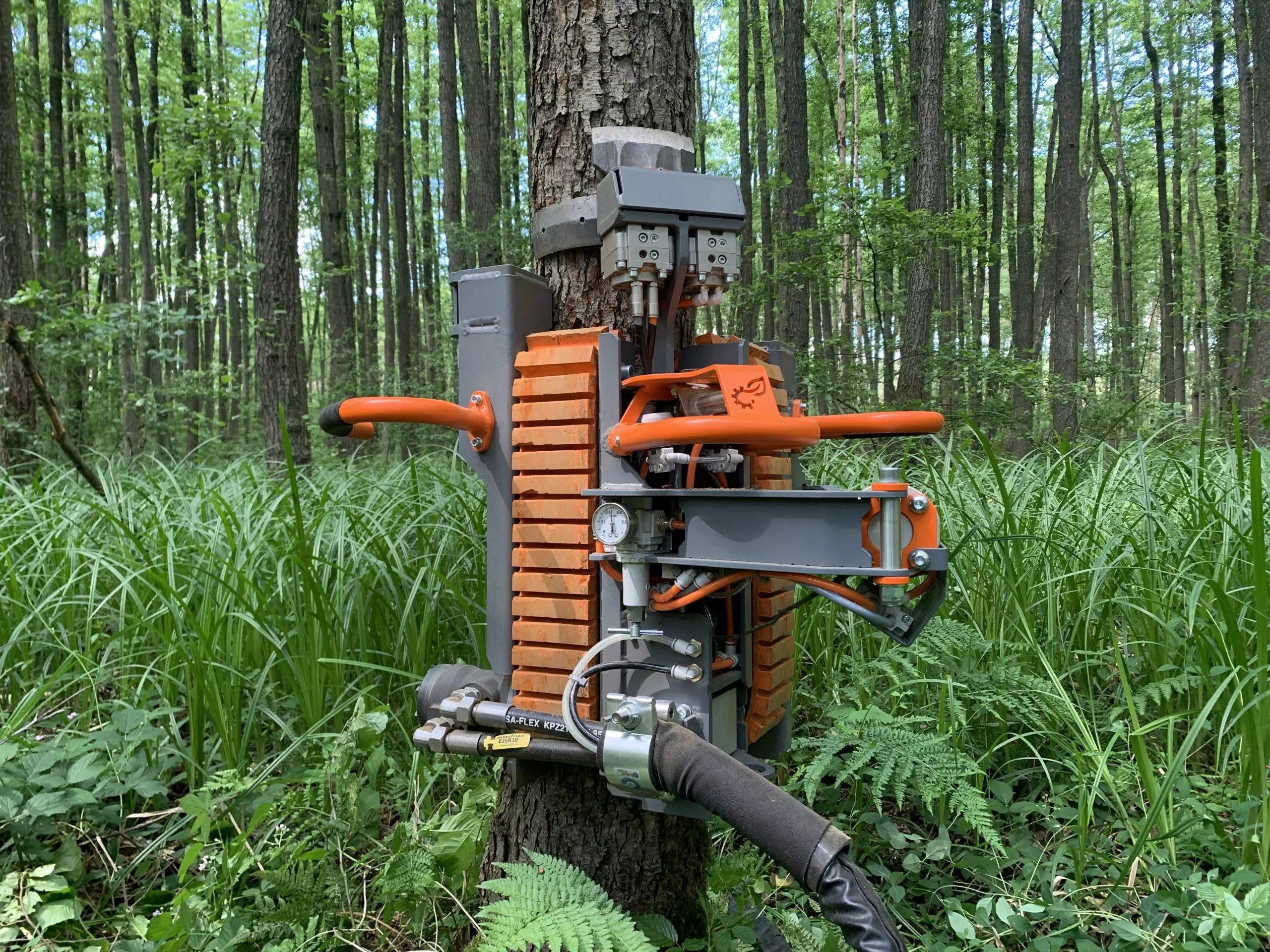 PATAS in action - click to play